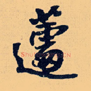 蘧
