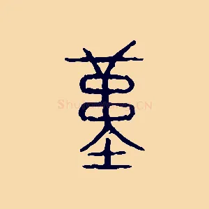 堇