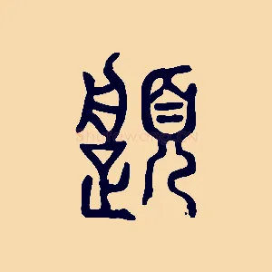 履