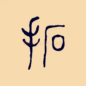 拓