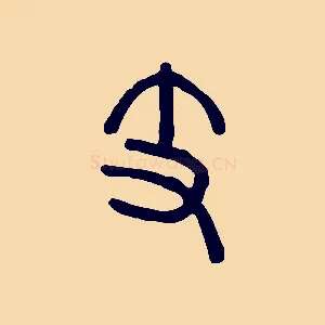支
