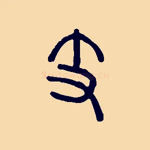 支
