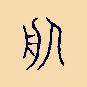 服