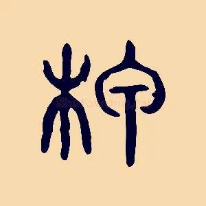 柙