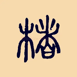 楮