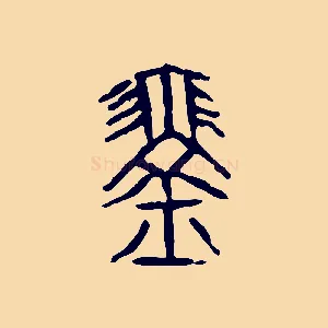 琴