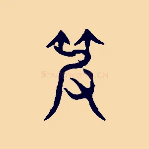 皮