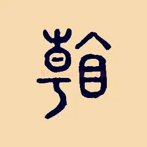 看