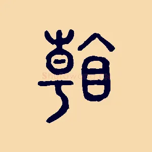 看