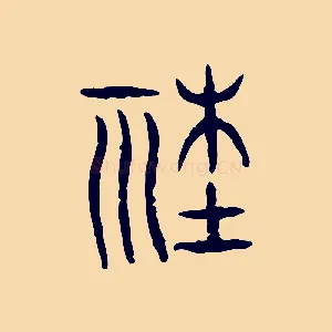 社