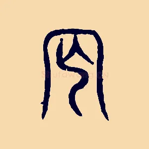 网