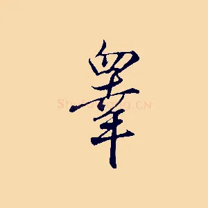 睪
