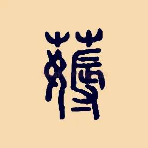 薅