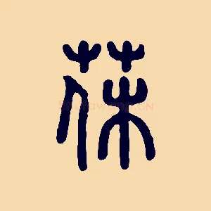 薅