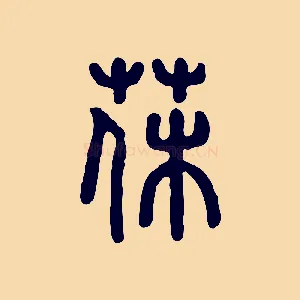 薅