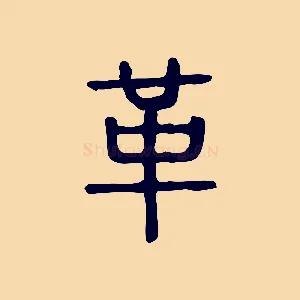 革