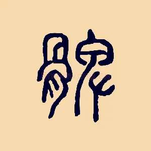 髀