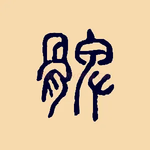 髀