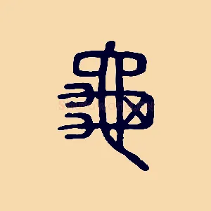 龜