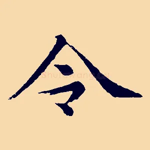 令