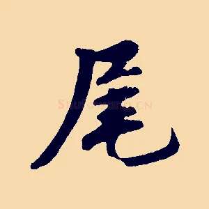 尾
