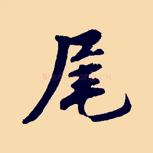 尾