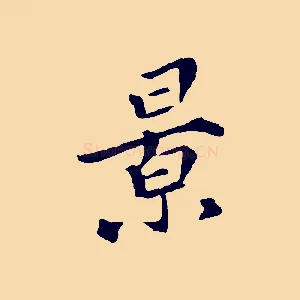 景