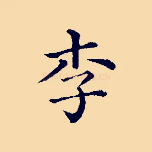 李