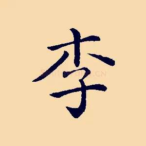 李