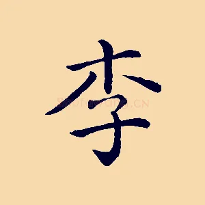 李