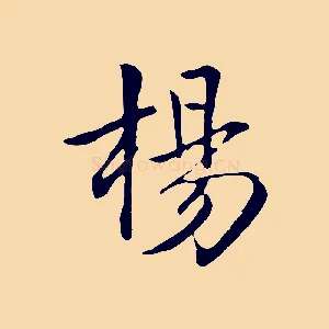 楊