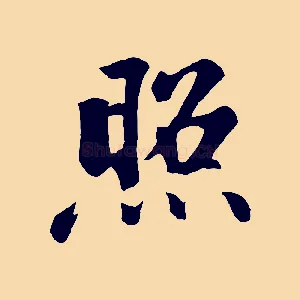 照