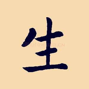 生
