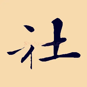 社