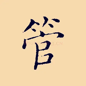 管