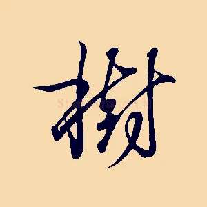 樹