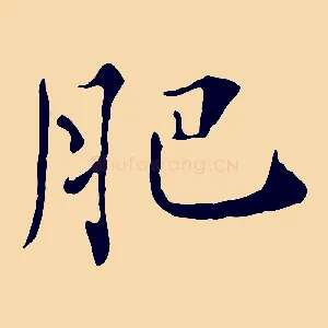 肥