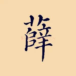 薛
