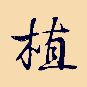 植