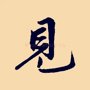 見