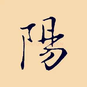 陽
