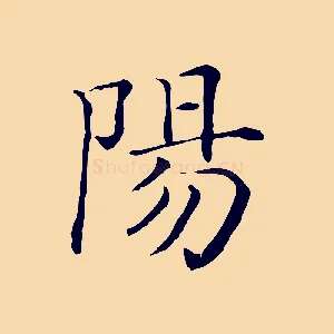 陽
