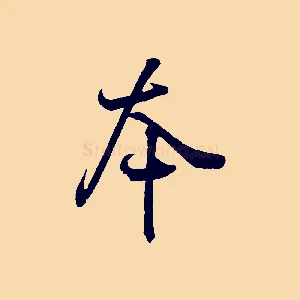 本