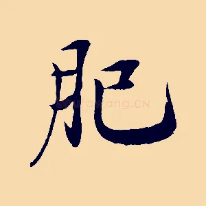 肥
