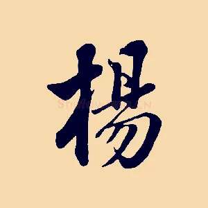 楊