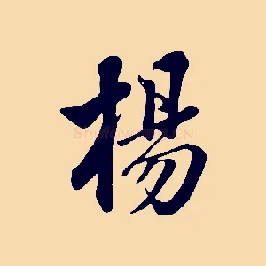 楊
