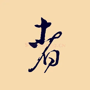 者