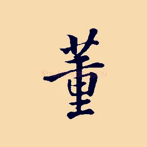 董