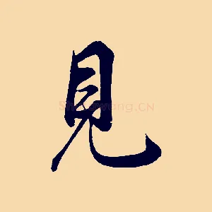 見