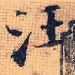 汪